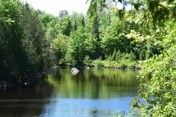 Parc Rivière Doncaster Dans Sud Québec — Photo