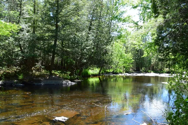 Parque Rio Doncaster Sul Quebec — Fotografia de Stock