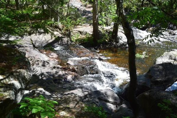 Parque Rio Doncaster Sul Quebec — Fotografia de Stock