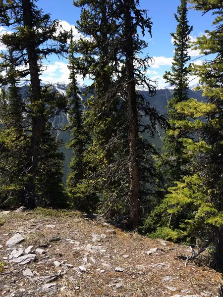 Monte Rundle Espina Dorsal Espectacular Paisaje Virgen — Foto de Stock