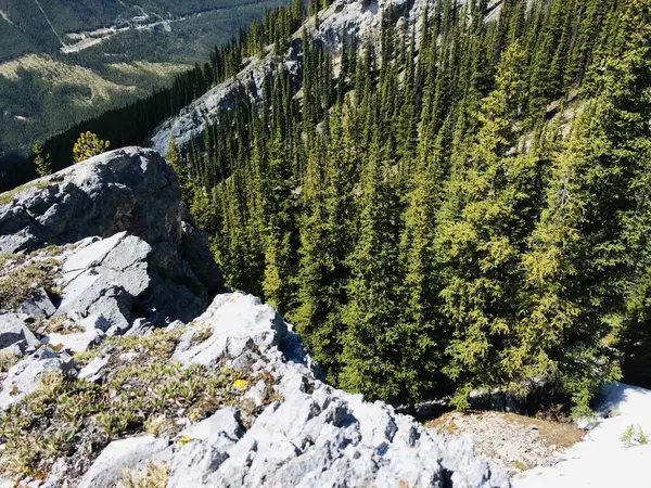 Хребет Гори Рандл Дивовижний Незіпсований Краєвид — стокове фото