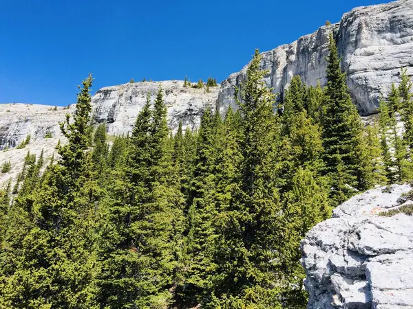 Mount Rundle Rücken Spektakuläre Unberührte Landschaft — Stockfoto