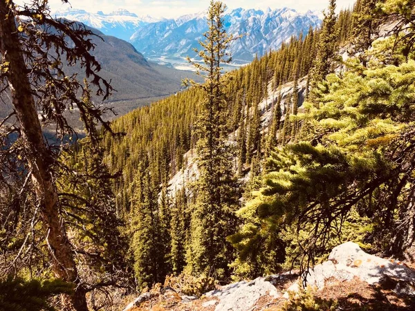 Mount Rundle Rücken Spektakuläre Unberührte Landschaft — Stockfoto