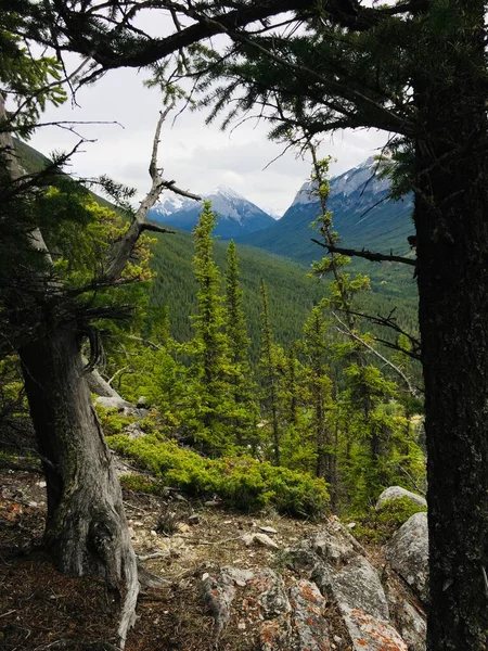 Banff Mount Rundle Espinha Meio Paisagens Espetaculares — Fotografia de Stock