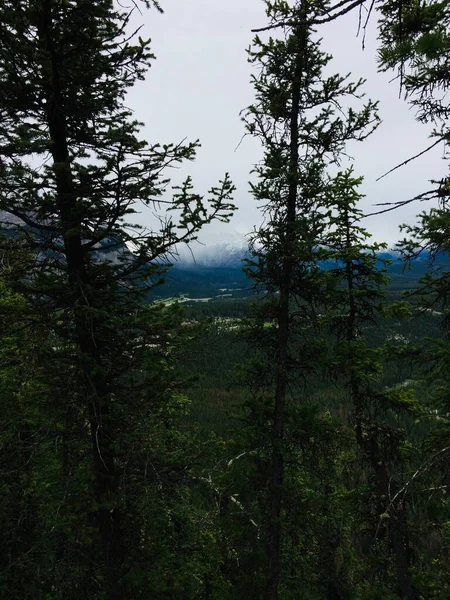 Banff Mount Rundle Colonne Vertébrale Milieu Paysages Spectaculaires — Photo