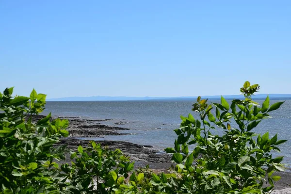 Orleans Island Lawrence River — Stock Photo, Image