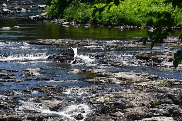 Levis Taki Etchemin Nehri Güney Quebec — Stok fotoğraf