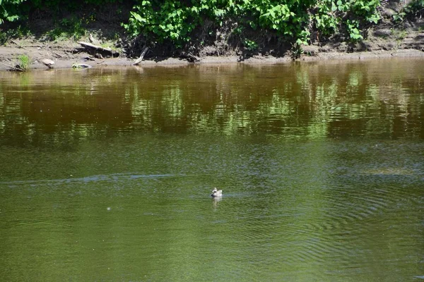 Etchemin Fluss Levis Süden Quebecs — Stockfoto