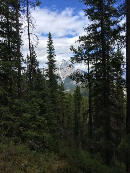 Prachtig Uitzicht Banff National Park Vanaf Bergkam Van Sulfur — Stockfoto