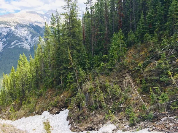 Impresionantes Vistas Del Parque Nacional Banff Desde Cresta Montaña Azufre —  Fotos de Stock