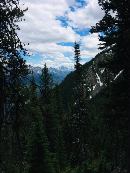 Vistas Deslumbrantes Parque Nacional Banff Partir Cume Montanha Enxofre — Fotografia de Stock