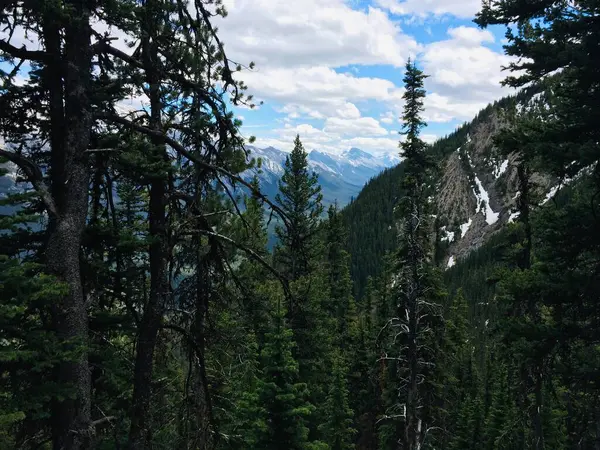 Atemberaubende Aussicht Auf Den Banff National Park Vom Schwefelkamm — Stockfoto