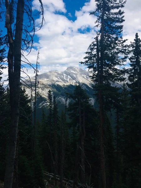 Atemberaubende Aussicht Auf Den Banff National Park Vom Schwefelkamm — Stockfoto