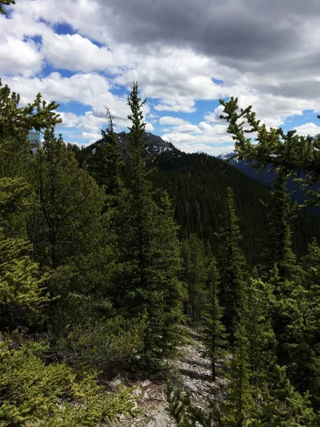 Vistas Deslumbrantes Parque Nacional Banff Partir Cume Montanha Enxofre — Fotografia de Stock