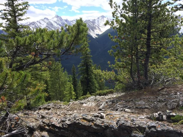 Impresionantes Vistas Del Parque Nacional Banff Desde Cresta Montaña Azufre — Foto de Stock