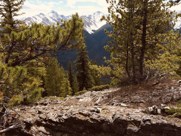 Atemberaubende Aussicht Auf Den Banff National Park Vom Schwefelkamm — Stockfoto