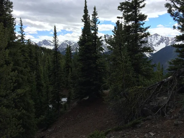 Prachtig Uitzicht Banff National Park Vanaf Bergkam Van Sulfur — Stockfoto
