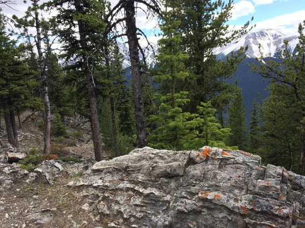 Impresionantes Vistas Del Parque Nacional Banff Desde Cresta Montaña Azufre —  Fotos de Stock