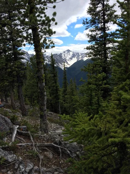 Impresionantes Vistas Del Parque Nacional Banff Desde Cresta Montaña Azufre —  Fotos de Stock