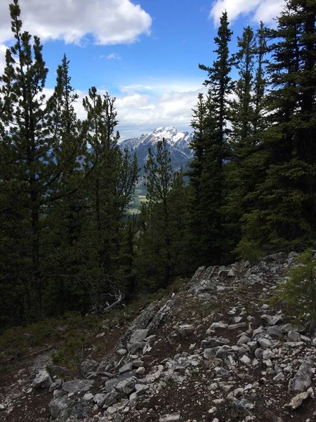 Vistas Deslumbrantes Parque Nacional Banff Partir Cume Montanha Enxofre — Fotografia de Stock