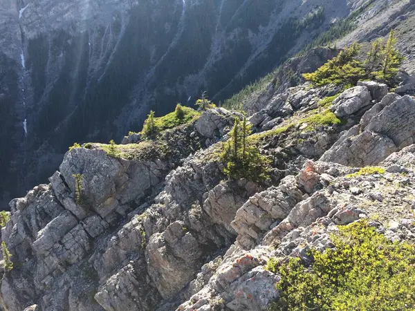 Banff Ulusal Parkı Inanılmaz Bir Bakış Açısıyla — Stok fotoğraf