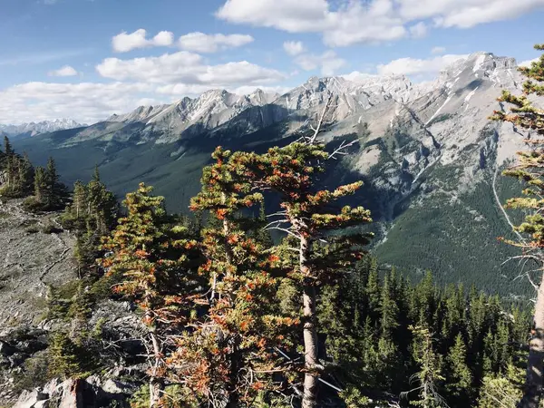 Parque Nacional Banff Desde Punto Vista Increíble —  Fotos de Stock