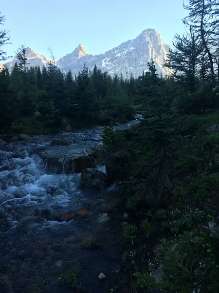 Moraine Területe Banff Nemzeti Parkban — Stock Fotó