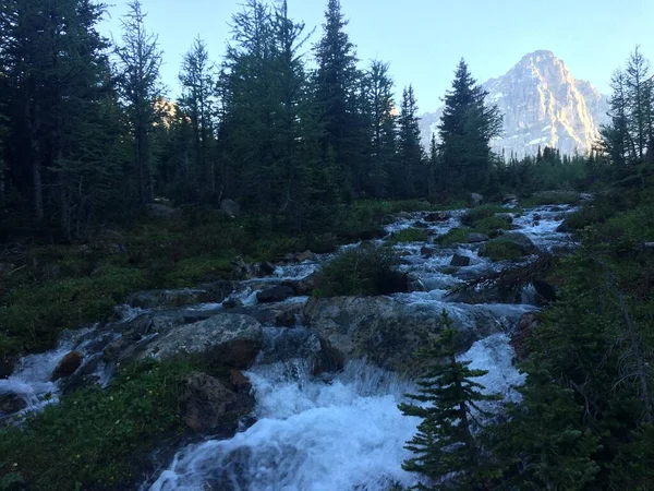 Oblast Jezera Moraine Národním Parku Banff — Stock fotografie