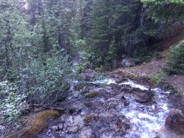 Moraine Területe Banff Nemzeti Parkban — Stock Fotó