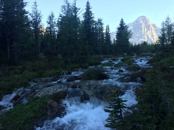 Área Del Lago Moraine Parque Nacional Banff —  Fotos de Stock