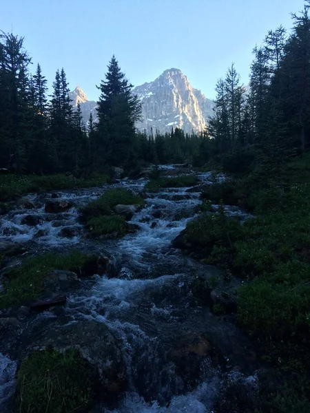 Moränensee Banff Nationalpark — Stockfoto