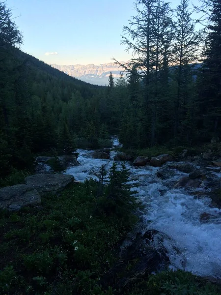 Moraine Területe Banff Nemzeti Parkban — Stock Fotó