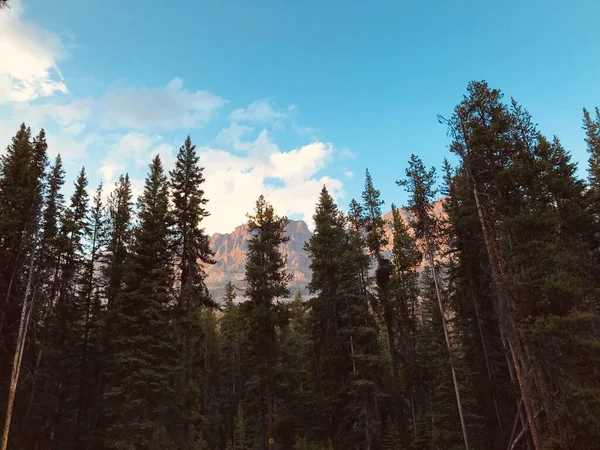 Castle Mountain Sur Coucher Soleil Été — Photo