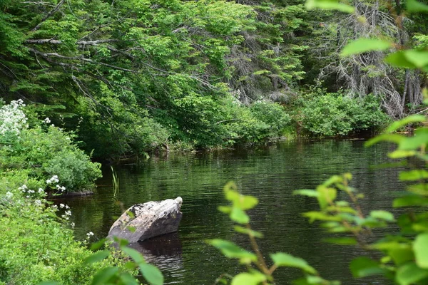 Waterfall Calvaire Regional Park Quebec — Stockfoto