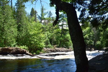 Quebec 'teki Calvaire bölge parkının şelalesi