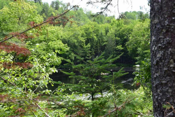 Waterfall Calvaire Regional Park Quebec — Foto de Stock