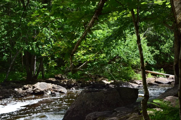 Waterfall Calvaire Regional Park Quebec — Foto Stock