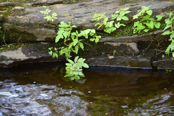 Cachoeira Parque Regional Calvaire Quebec — Fotografia de Stock