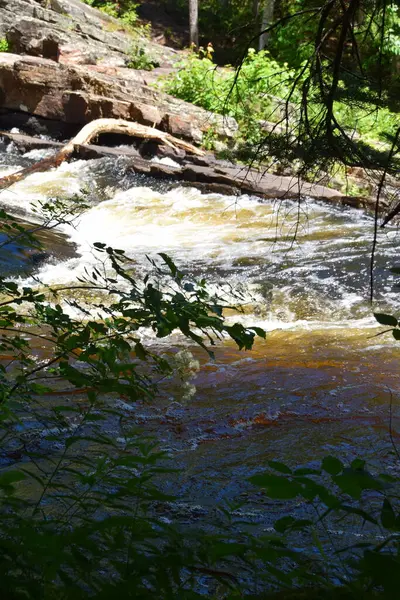 Waterfall Calvaire Regional Park Quebec — Stock Fotó