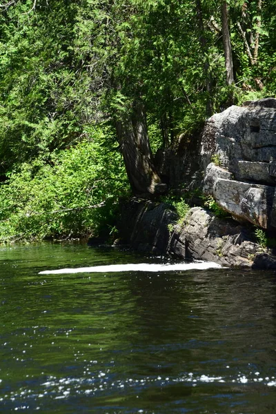 Waterfall Calvaire Regional Park Quebec — Foto Stock