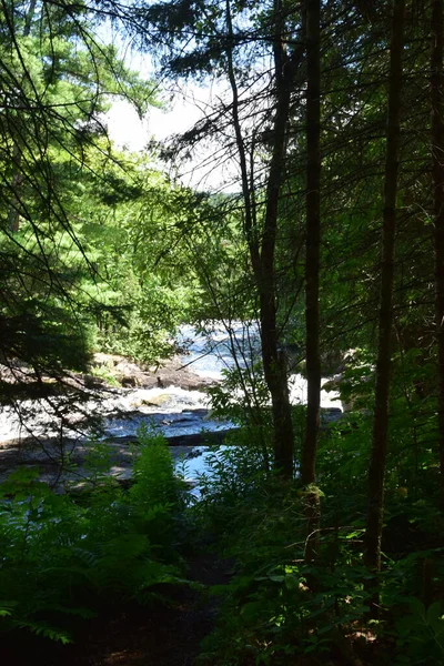 Waterfall Calvaire Regional Park Quebec — Stock Fotó