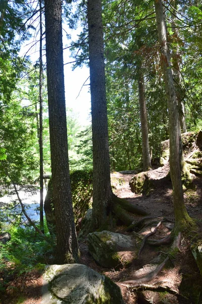 Waterfall Calvaire Regional Park Quebec — Φωτογραφία Αρχείου