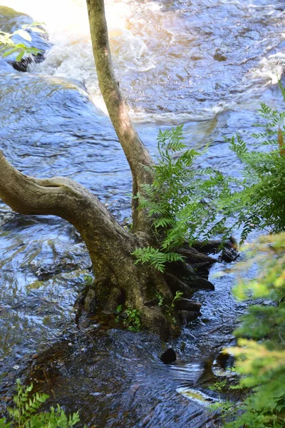 Waterfall Calvaire Regional Park Quebec — Stock fotografie