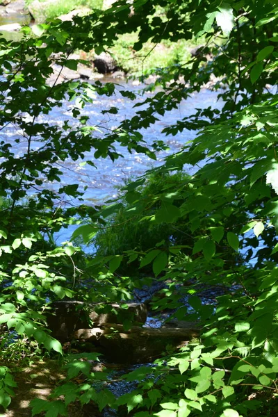 ケベック州のカルベール地方公園の滝 — ストック写真