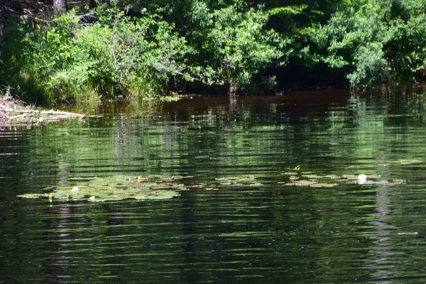 Cachoeira Parque Regional Calvaire Quebec — Fotografia de Stock