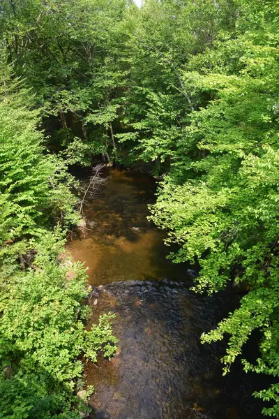 Regio Portneuf Quebec — Stockfoto