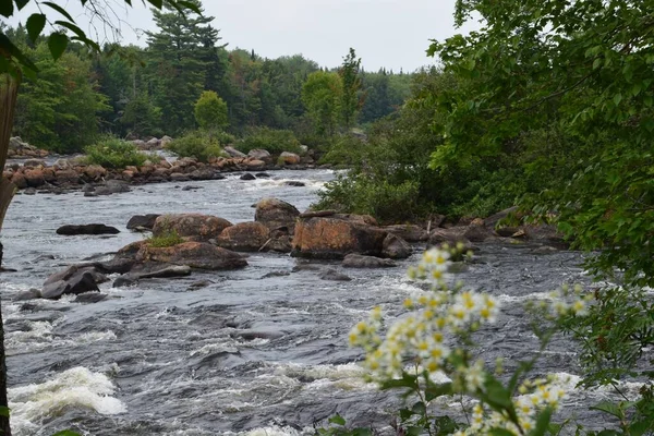 Région Portneuf Québec — Photo