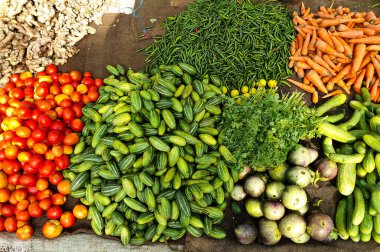 bir sürü taze sebze (domates, parwal, yeşil biber, brinjal, havuç, khera, zencefil, )