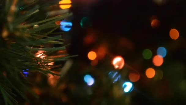 Luci Natale Ghirlande Illuminare Uscire Sfocare Decorazioni Luminose Colorate Alberi — Video Stock