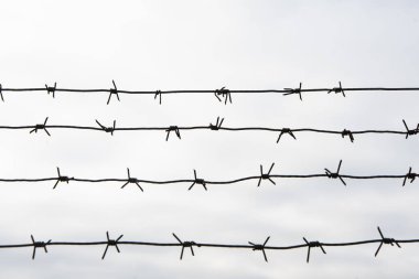 Beyaz arka planda dikenli tel, tel örgü, askeri nesne..